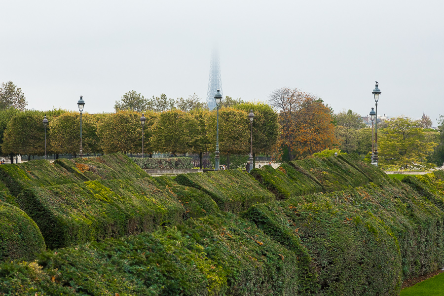 Paris 14 Jardin de Tuileries